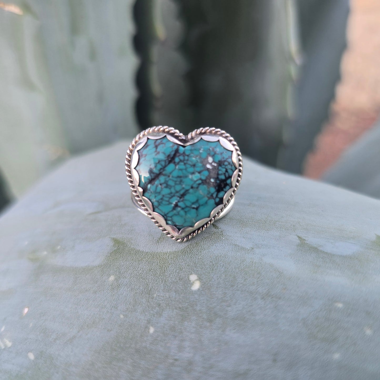 Turquoise and sterling silver heat ring displayed on cactus front view