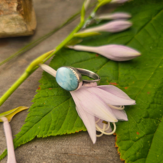 East-West Larimar Hand-Forged Sterling Silver Ring
