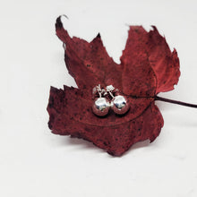 Load image into Gallery viewer, Earring Subscription Box