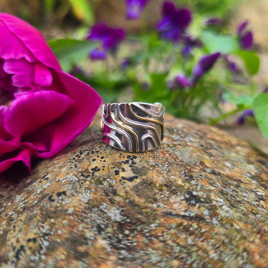 18k Gold & Argentium Topography Ring