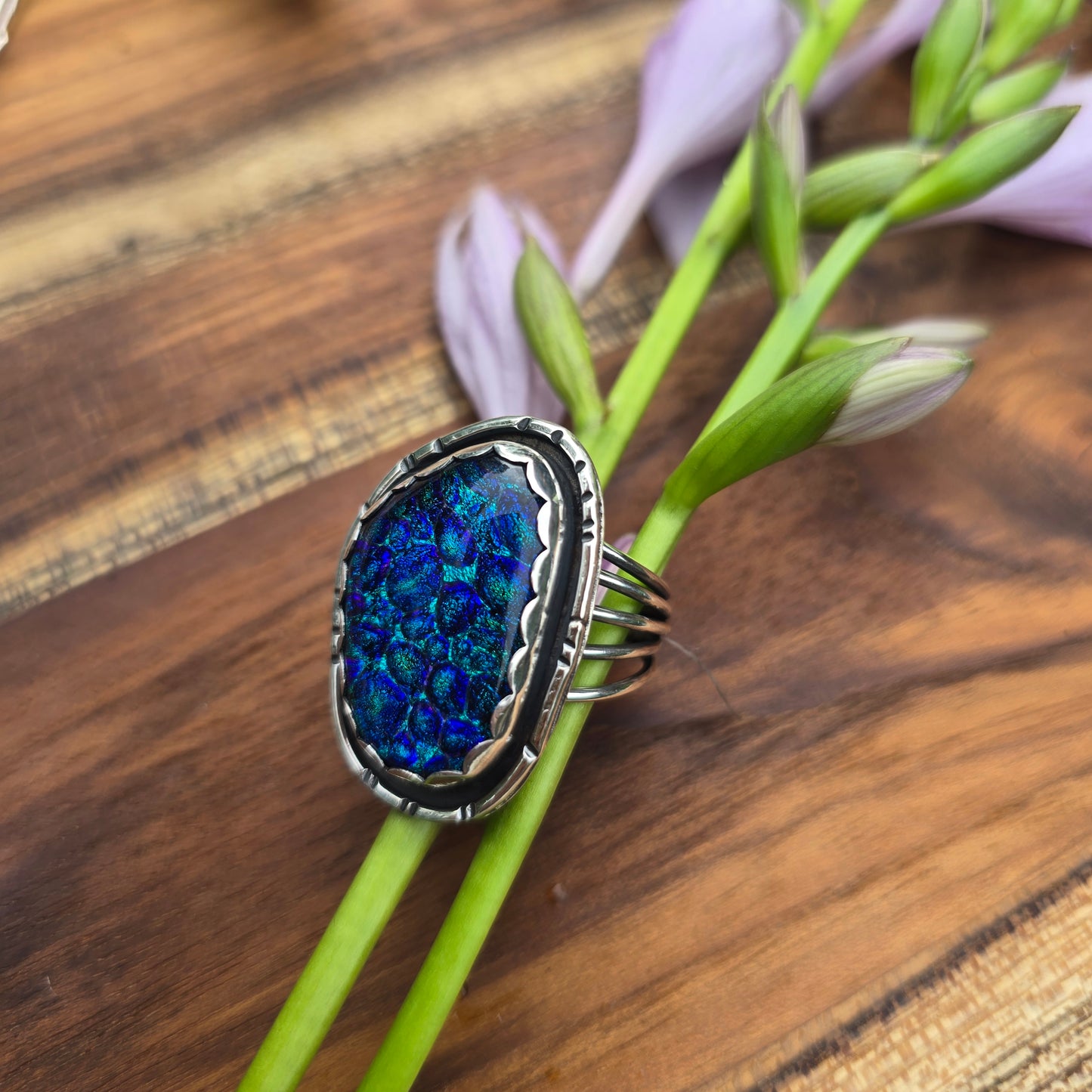 Dichroic Collection #2