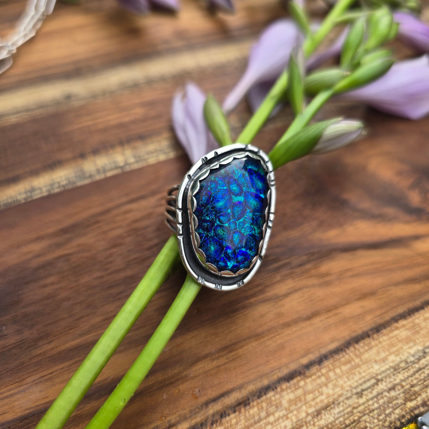 Dichroic Collection #2