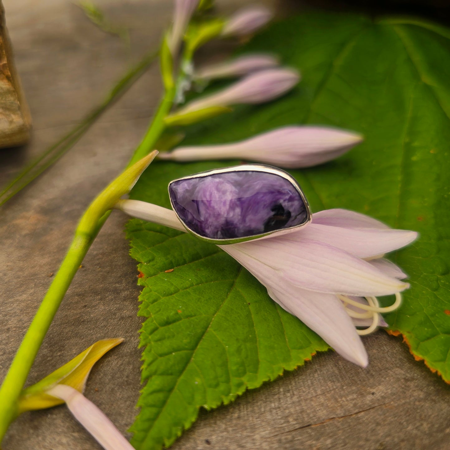 East-West Charoite Hand-Forged Sterling Silver Ring