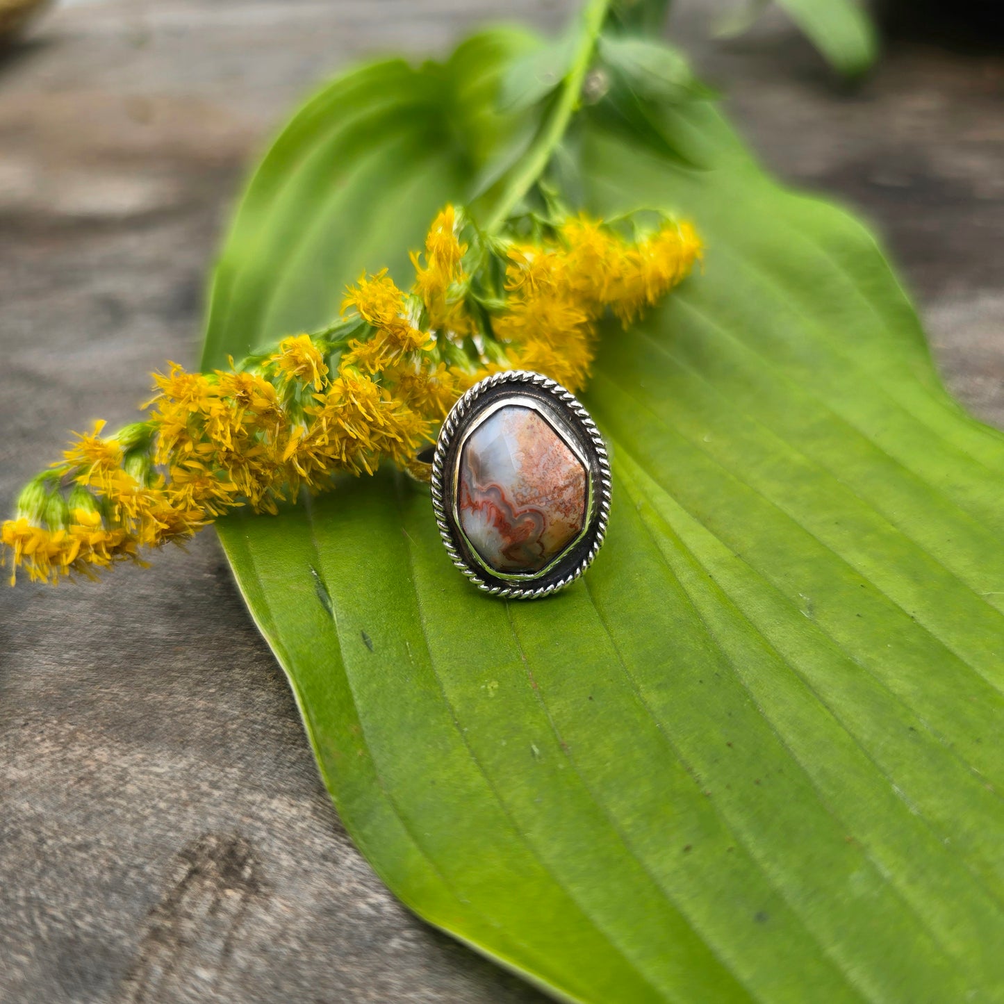 Orange Crazy Lace Agate Twisted Rope Sterling Silver Ring | Size 6.5