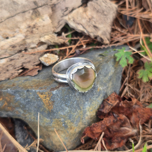 Faceted Green & Brown Imperial Jasper Ring in Hand-Forged Sterling Silver – Size 8