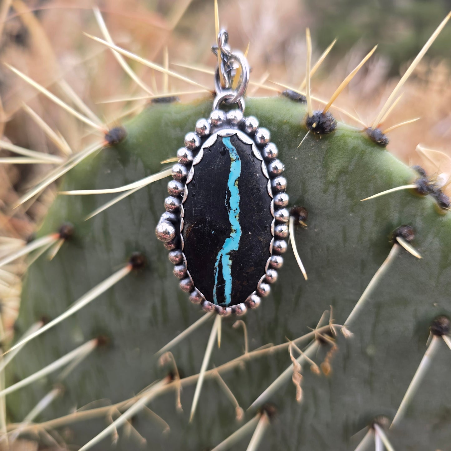 Sterling and Royston Ribbon turquoise pendant displayed on cactus front view