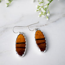 Load image into Gallery viewer, Maple Syrup Earrings II
