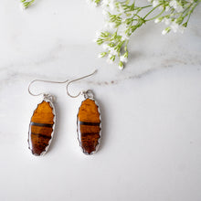 Load image into Gallery viewer, Maple Syrup Earrings II

